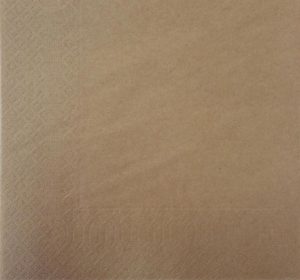 ΧΑΡΤΟΠΕΤΣΕΤΑ ΠΟΛΥΤΕΛΕΙΑΣ 40×40 CRAFT ECO 2ΦΥΛΛΗ